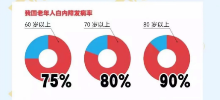 全球致盲的主要原因有哪些？